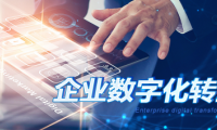 中企高呈：企業數字化不是目的，轉型才是！