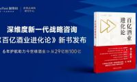 深維度戰(zhàn)略咨詢：從29億到100億，企業(yè)做對了什么？