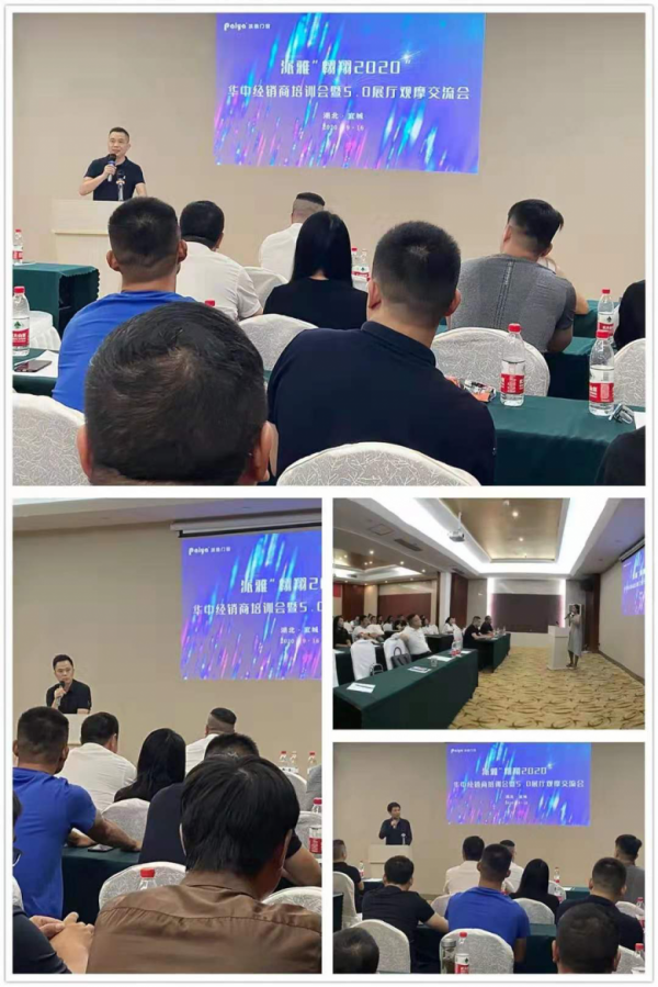 門窗十大品牌派雅門窗：奮斗的2020，一起翱翔！