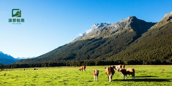 什么是OSB環保原材，澳思柏恩給了答案