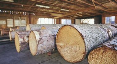 專注環保板材，澳思柏恩差異化品牌之路