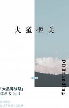 大道恒美品牌管理的「大品牌戰略」體系及運用