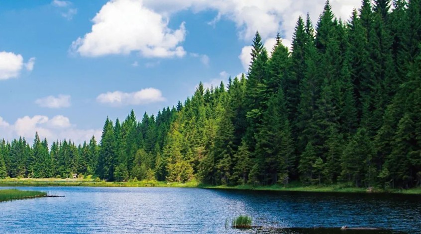 千年舟OSB板：做好柜用好板的不二之選