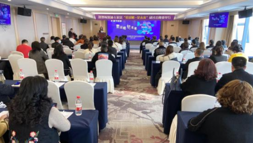 終端盈利突圍，迪卡家居&ldquo;星戰略&middot;見未來&rdquo;研討會隆重召開！