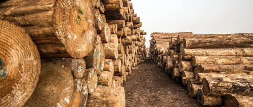 做好柜，用好板，就用千年舟健康板材，安全又美麗！