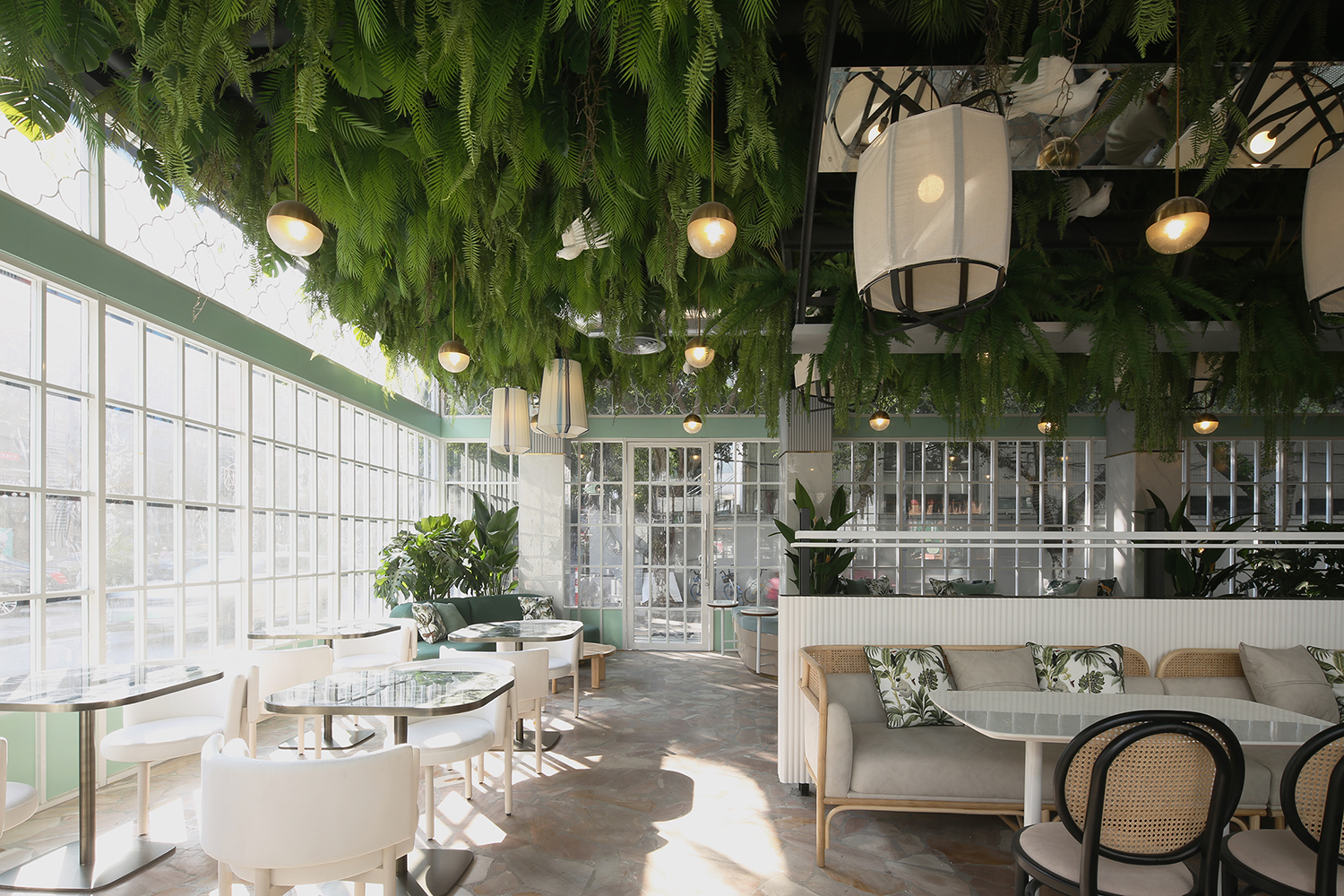 廣東人的驕傲，女王也愛的英德紅茶，100杯免費(fèi)喝