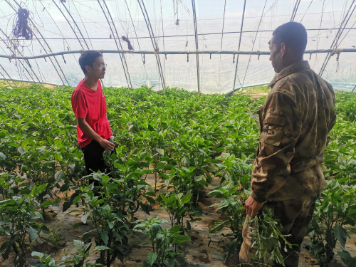 2162道題！陜西省援藏干部李吾強通關&rdquo;學習強國&rdquo;挑戰答題  