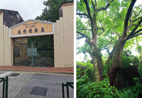 推動生物多樣性保護  中節能鐵漢在行動