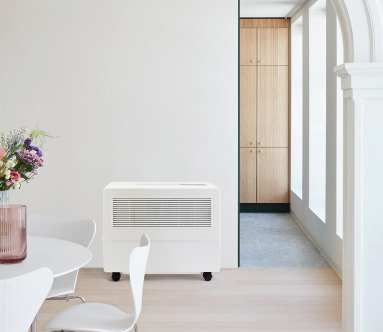 哪些&ldquo;沒用&rdquo;的升級，成就了博沃納今天的頂+級