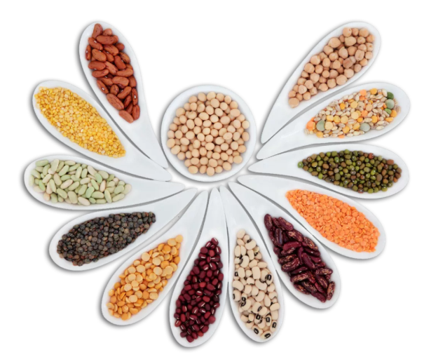 千年舟天然豆香板，連「膠」都是植物提取！