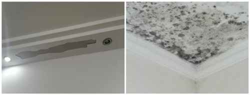 千年舟耐潮紙面石膏板丨健康生活，源自于好的板材