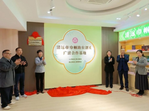 巾幗發力！清遠市&ldquo;鄉村振興巾幗行動&rdquo;號角再起！