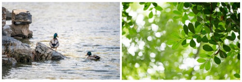 裝修旺季正當時，美涂士藝術漆助你打造健康環保家居！
