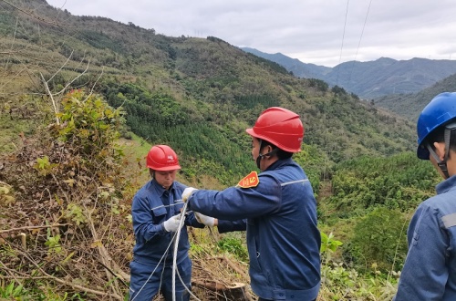 田林供電公司：戰疫情 我們在行動