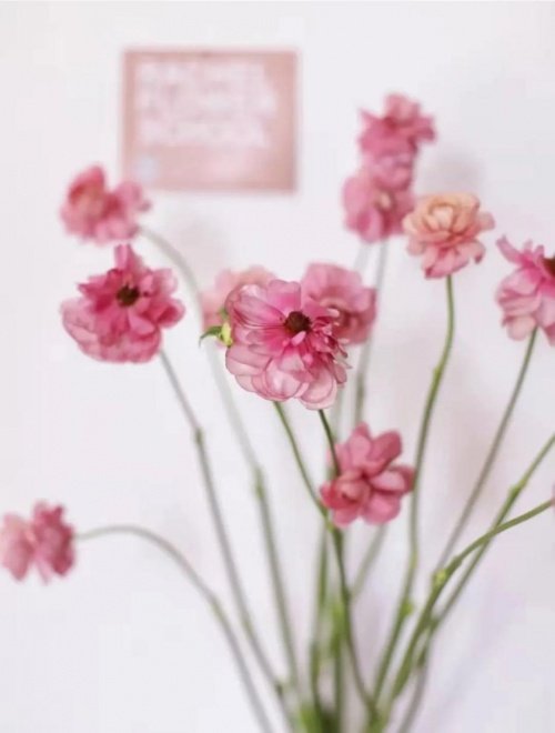 久盛心動特輯丨最特別的女性裝修風格，給最特別的你~