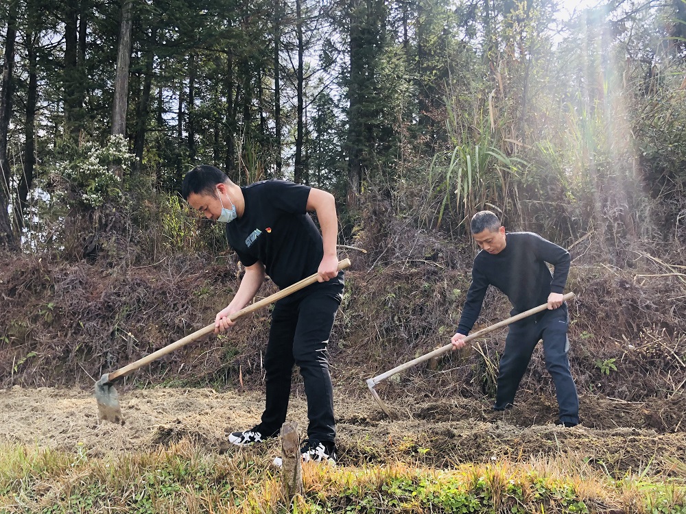 周寧煙草：打響春耕生產(chǎn)&ldquo;第一仗&rdquo;，讓拋荒撂荒耕地&ldquo;重獲新生&rdquo;