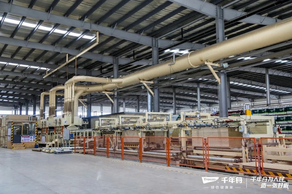 雙碳時代，千年舟板材更專注「內外兼修」！