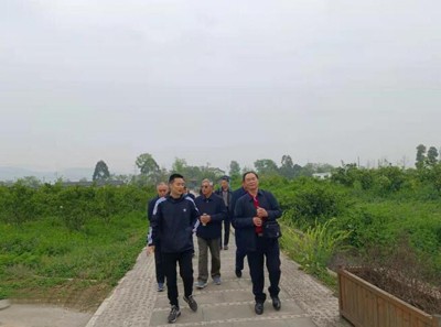 落實兩會精神 助力鄉(xiāng)村振興&mdash;&mdash;龍泉驛區(qū)老科協(xié)到科技助農(nóng)示范點調(diào)研