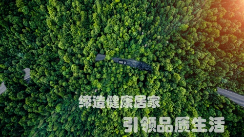 從探索到標(biāo)桿澳思?xì)W恩為板材走過的創(chuàng)新路