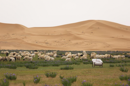DOJUS度假式深活|為綠洲極為罕見的旱海，綻放了生機
