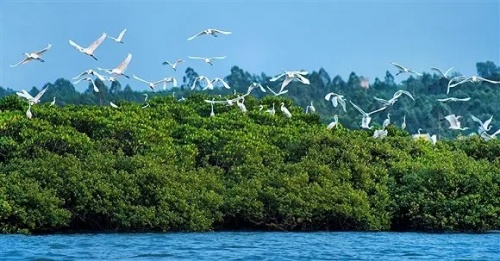 從一張好板到一張好地板，千年舟生態造板技術，管用23年