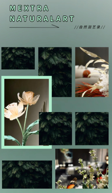 MEXTRA X CIFF探洄自然感官的向上表達，憩賞未來人居的自然基因