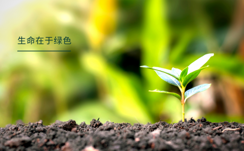 發(fā)力雙碳，韓氏健康板材成為碳足跡國家創(chuàng)新聯(lián)盟發(fā)起單位