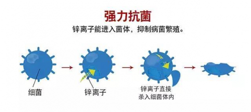 打造綠色健康的家居環境，首選澳思柏恩鋅效抗菌板