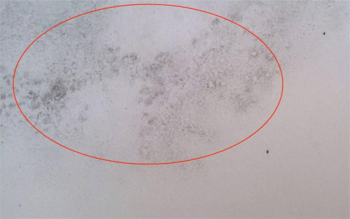 美巢易呱平膩?zhàn)臃郏退莱备攮h(huán)保，拒絕墻面潮濕發(fā)霉