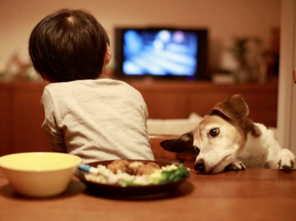 避坑帖：把驢騙進來再殺，細說激光電視那些致命缺點