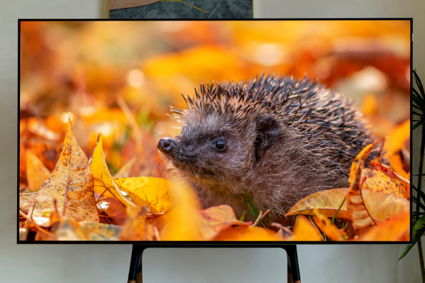 TCL C11G Pro換代首選？Mini LED真香神機，你值得擁有