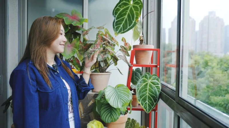 范湉湉的&ldquo;花花世界&rdquo;，藝術巖板「繁花」與冠珠韶華「南山蘆花」搭配亮了