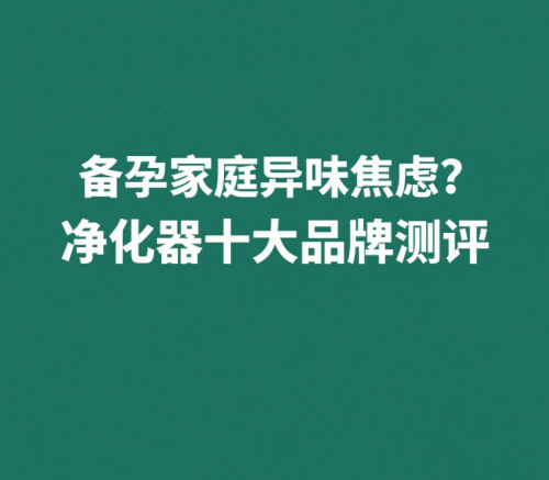 備孕家庭異味焦慮？除甲醛除煙味凈化器十大品牌測評