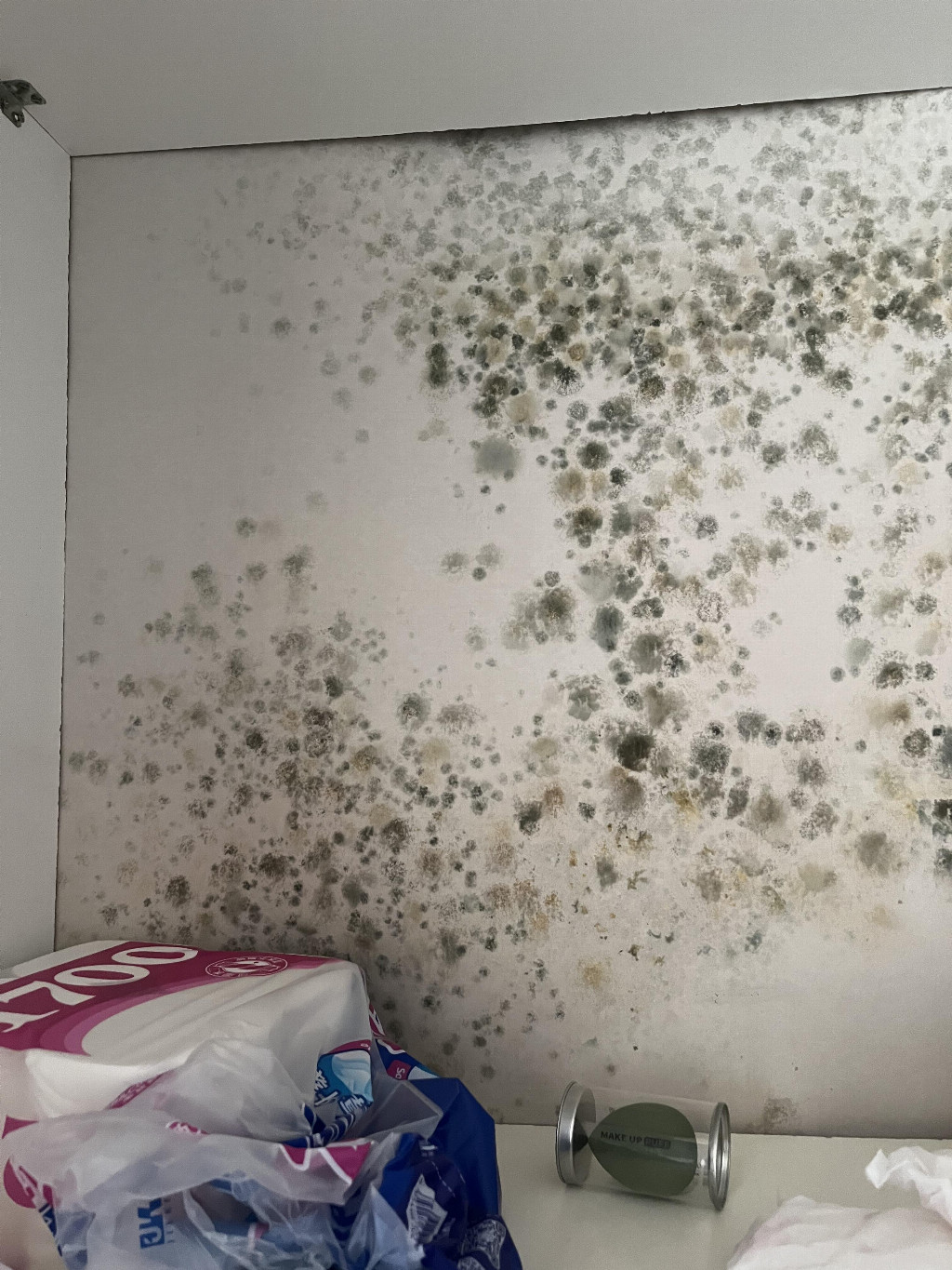 兒童級健康膩子創(chuàng)導(dǎo)者，卓瑪解鎖「健康家居」新定義