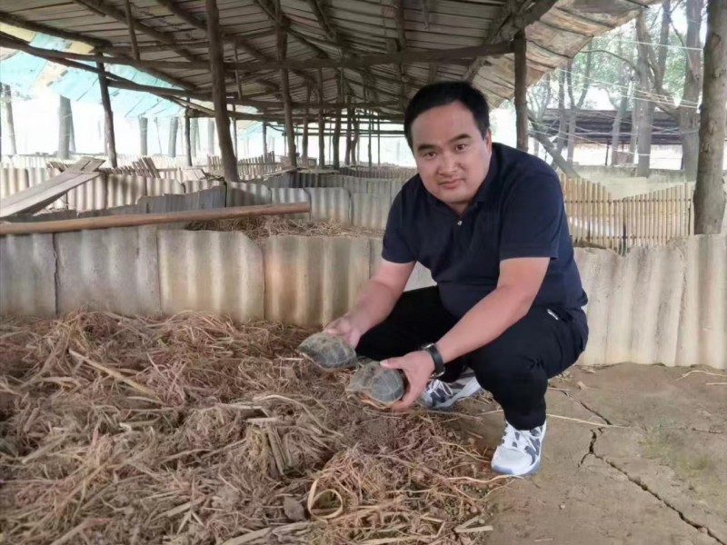 兩會聚焦|守&ldquo;甲鄉&rdquo;根脈 筑產業新程&mdash; 記漢壽華億龜水產瞿紅偉