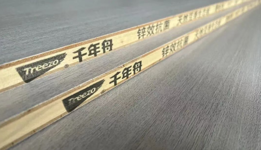 千年舟全新「防偽指南」來襲，教你快速辨真假