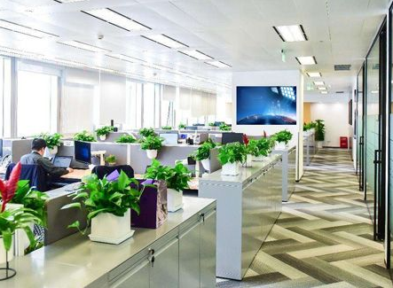 杉和集團分享你如何從零開始注冊香港公司